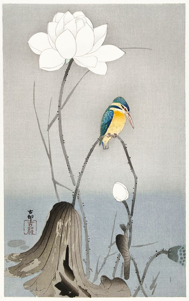 Kingfisher with Lotus Flower (1900 - 1945) by Ohara Koson (1877-1945). Original from The Rijksmuseum. Digitally enhanced by…