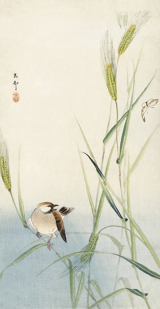 Bird and butterfly (1900 - 1930) by Ohara Koson (1877-1945). Original from The Rijksmuseum. Digitally enhanced by rawpixel.