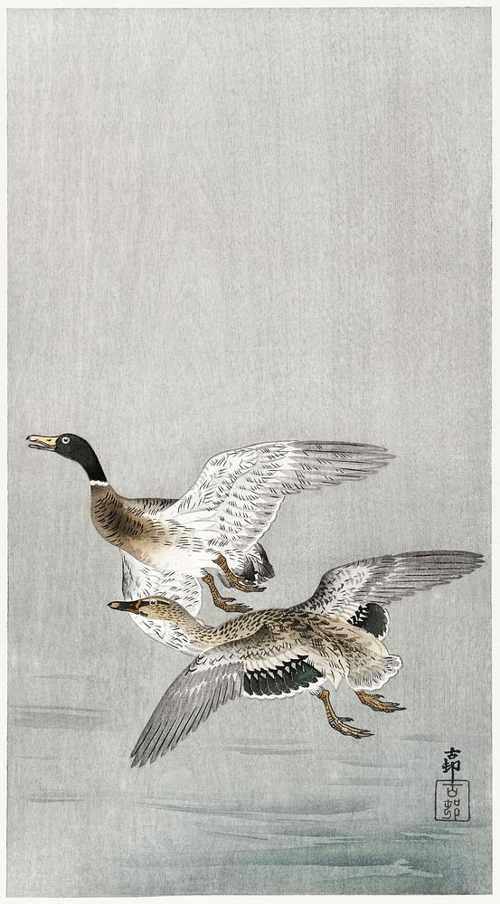 Couple of ducks (1900 - 1936) by Ohara Koson (1877-1945). Original from The Rijksmuseum. Digitally enhanced by rawpixel.