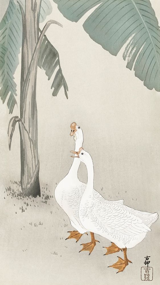 Two geese at banana tree (1900 - 1945) by Ohara Koson (1877-1945). Original from The Rijksmuseum. Digitally enhanced by…