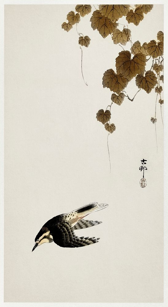 Bird in downward flight (1900 - 1930) by Ohara Koson (1877-1945). Original from The Rijksmuseum. Digitally enhanced by…