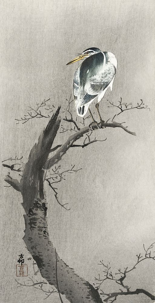 Kwak on branch (1900 - 1936) by Ohara Koson (1877-1945). Original from The Rijksmuseum. Digitally enhanced by rawpixel.