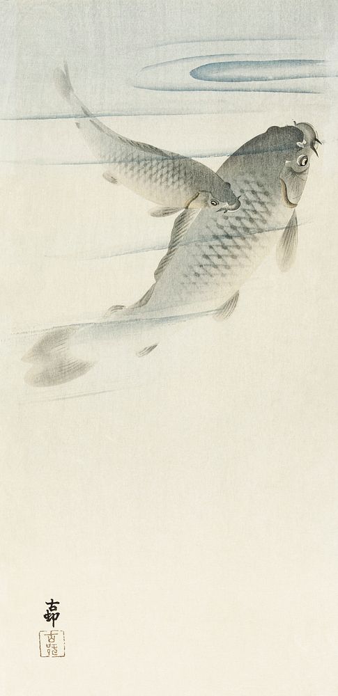 Carp (1900 - 1936) by Ohara Koson (1877-1945). Original from The Rijksmuseum. Digitally enhanced by rawpixel.
