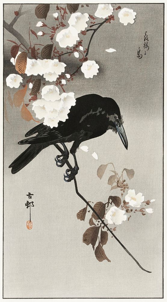 Crow and cherry blossom (1930 - 1975) by Ohara Koson (1877-1945). Original from The Rijksmuseum. Digitally enhanced by…