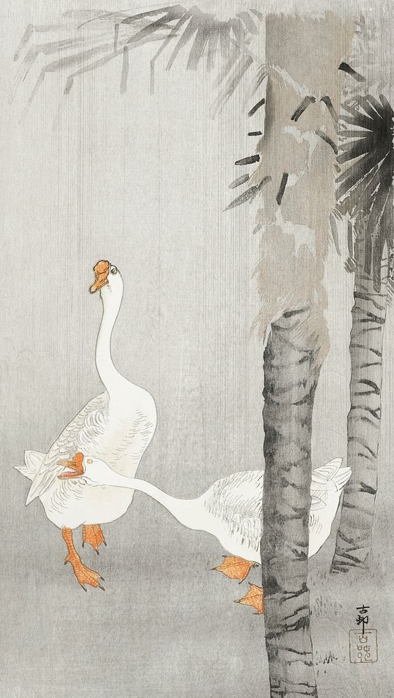 Tame geese in rain (1900 - 1936) by Ohara Koson (1877-1945). Original from The Rijksmuseum. Digitally enhanced by rawpixel.