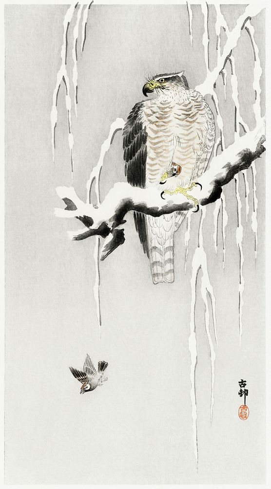 Hawk with captured ring sparrow (1900 - 1930) by Ohara Koson (1877-1945). Original from The Rijksmuseum. Digitally enhanced…