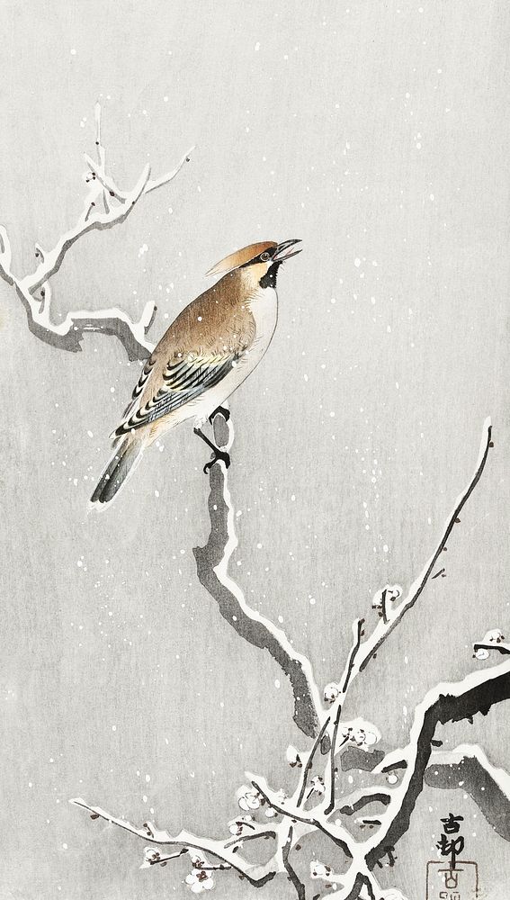 Bohemian bird on snowy branch (1900 - 1930) by Ohara Koson (1877-1945). Original from The Rijksmuseum. Digitally enhanced by…