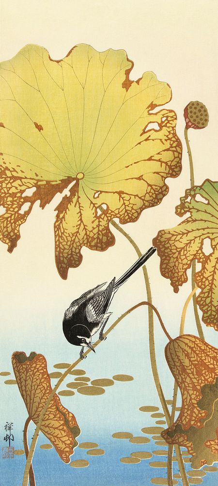 Japanese wagtail on lotus plant (1925 - 1936) by Ohara Koson (1877-1945). Original from The Rijksmuseum. Digitally enhanced…