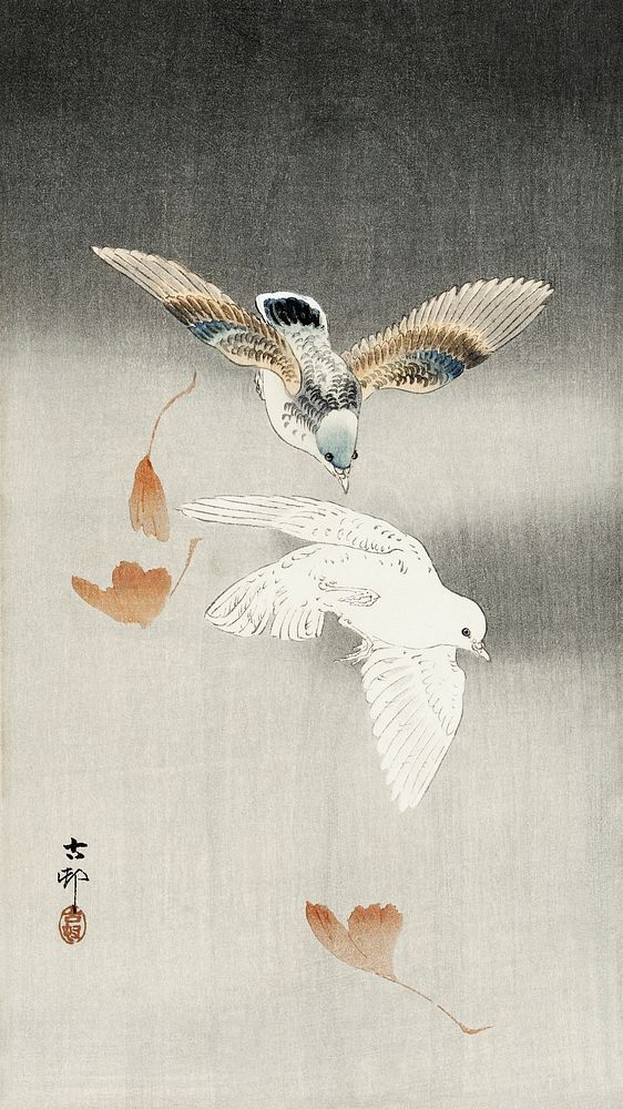 Two pigeons with falling ginkgo leaves (1900 - 1930) by Ohara Koson (1877-1945). Original from The Rijksmuseum. Digitally…