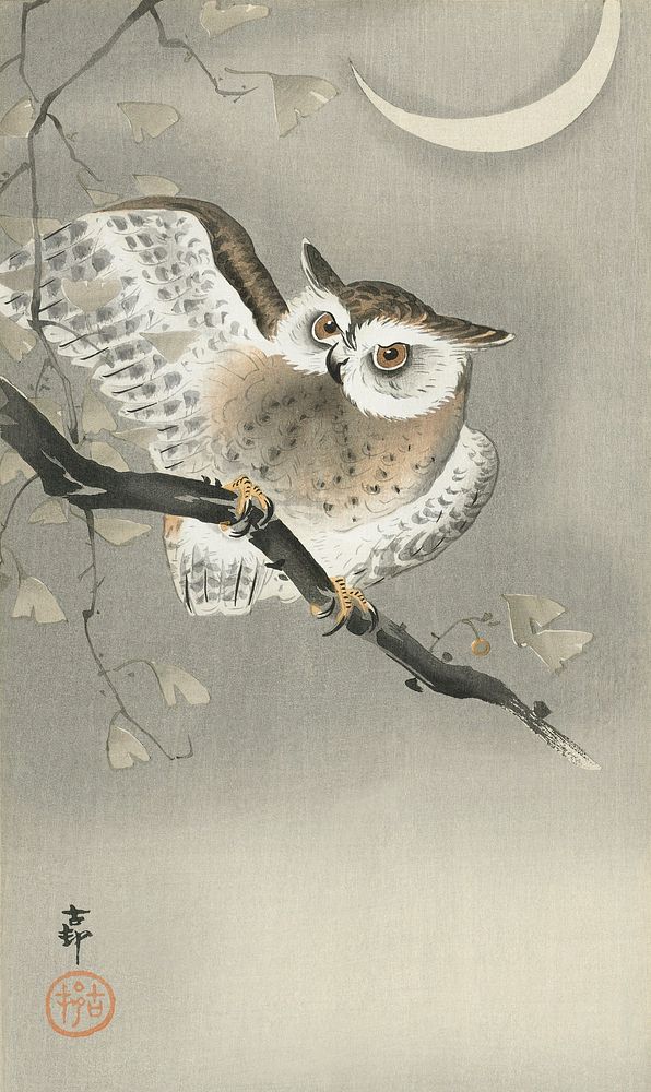Long-eared owl in ginkgo (1900 - 1930) by Ohara Koson (1877-1945). Original from The Rijksmuseum. Digitally enhanced by…