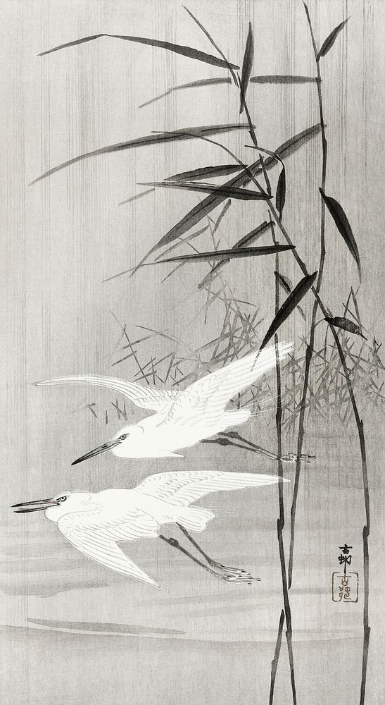 Two egrets in flight (1900 - 1936) by Ohara Koson (1877-1945). Original from The Rijksmuseum. Digitally enhanced by rawpixel.