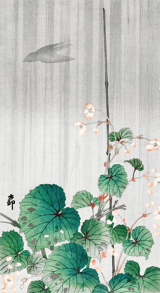 Begonia in the rain (1930 - 1945) by Ohara Koson (1877-1945). Original from The Rijksmuseum. Digitally enhanced by rawpixel.