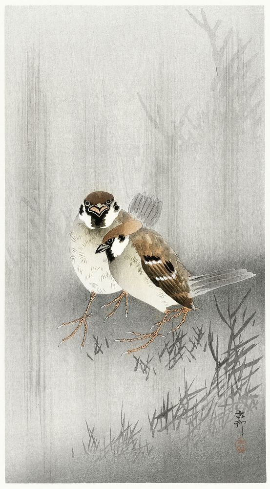 Two ring sparrows in the rain (1900 - 1930) by Ohara Koson (1877-1945). Original from The Rijksmuseum. Digitally enhanced by…