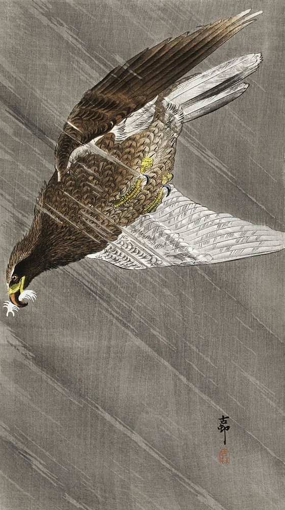 Downward flying eagle (1900 - 1930) by Ohara Koson (1877-1945). Original from The Rijksmuseum. Digitally enhanced by…