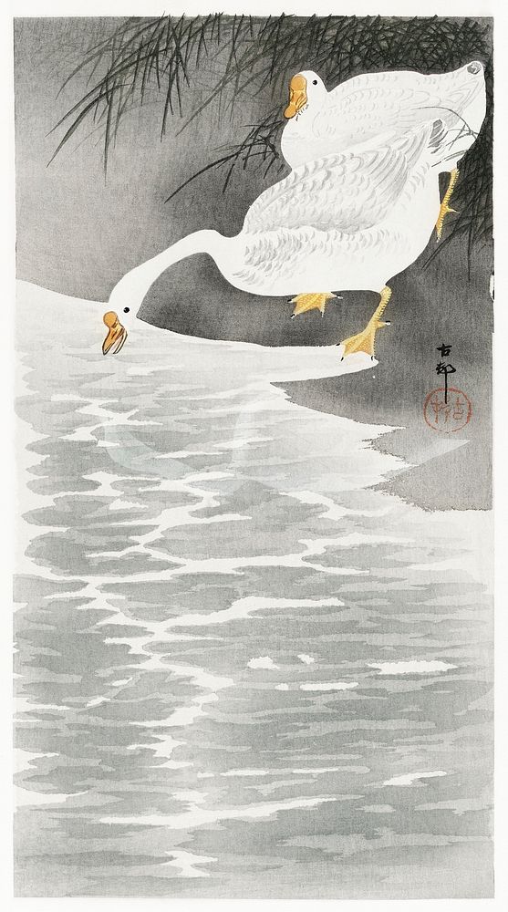 Geese on the shore (1900 - 1930) by Ohara Koson (1877-1945). Original from The Rijksmuseum. Digitally enhanced by rawpixel.