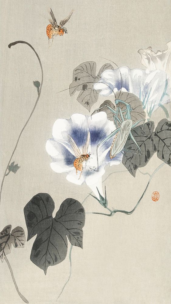 Insects near bindweed (1900 - 1930) by Ohara Koson (1877-1945). Original from The Rijksmuseum. Digitally enhanced by…