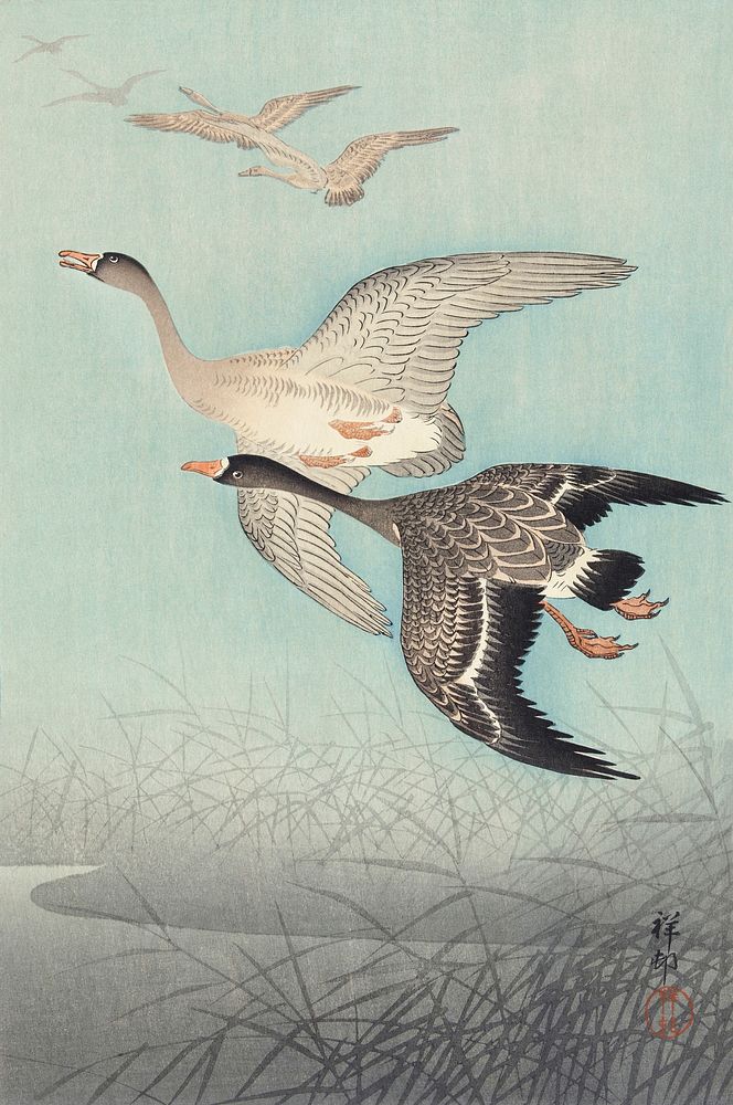 Great geese in flight (1925 - 1936) by Ohara Koson (1877-1945). Original from The Rijksmuseum. Digitally enhanced by…