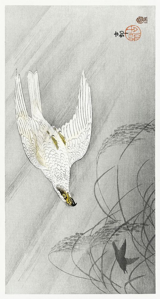 Hunting hawk (1900 - 1910) by Ohara Koson (1877-1945). Original from The Rijksmuseum. Digitally enhanced by rawpixel.
