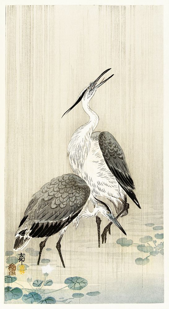 Two herons in the rain (1900 - 1910) by Ohara Koson (1877-1945). Original from The Rijksmuseum. Digitally enhanced by…
