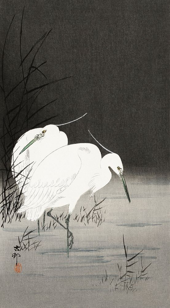 Two egrets in the reeds (1900 - 1930) by Ohara Koson (1877-1945). Original from The Rijksmuseum. Digitally enhanced by…
