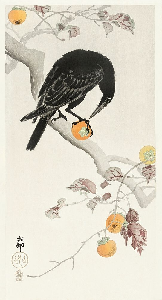 Crow with kaki fruit (1900 - 1910) by Ohara Koson (1877-1945). Original from The Rijksmuseum. Digitally enhanced by rawpixel.