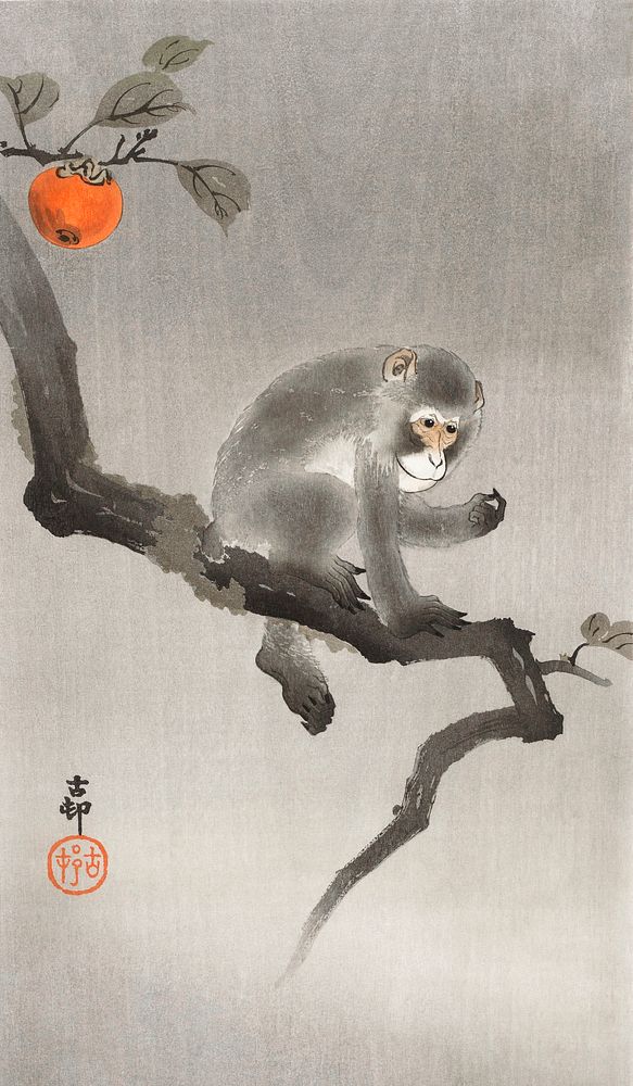 Monkey in cockatoo (1900 - 1930) by Ohara Koson (1877-1945). Original from The Rijksmuseum. Digitally enhanced by rawpixel.