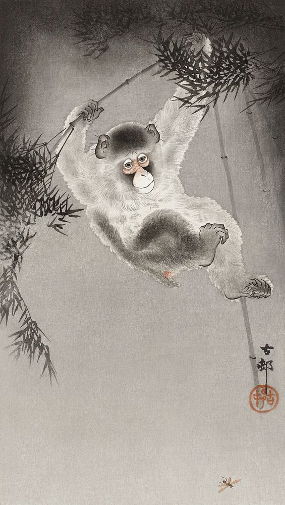 Monkey, hanging from bamboo branch (1900 - 1930) by Ohara Koson (1877-1945). Original from The Rijksmuseum. Digitally…