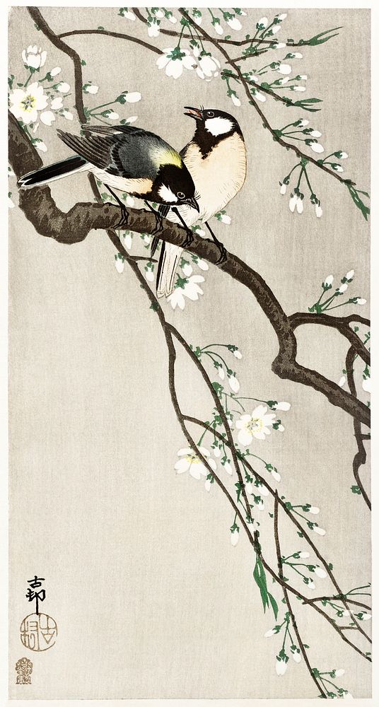 Tits on Cherry Branch (1900 - 1910) by Ohara Koson (1877-1945). Original from The Rijksmuseum. Digitally enhanced by…