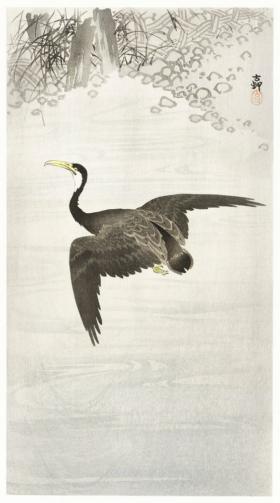 Cormorant in flight (1900 - 1930) by Ohara Koson (1877-1945). Original from The Rijksmuseum. Digitally enhanced by rawpixel.
