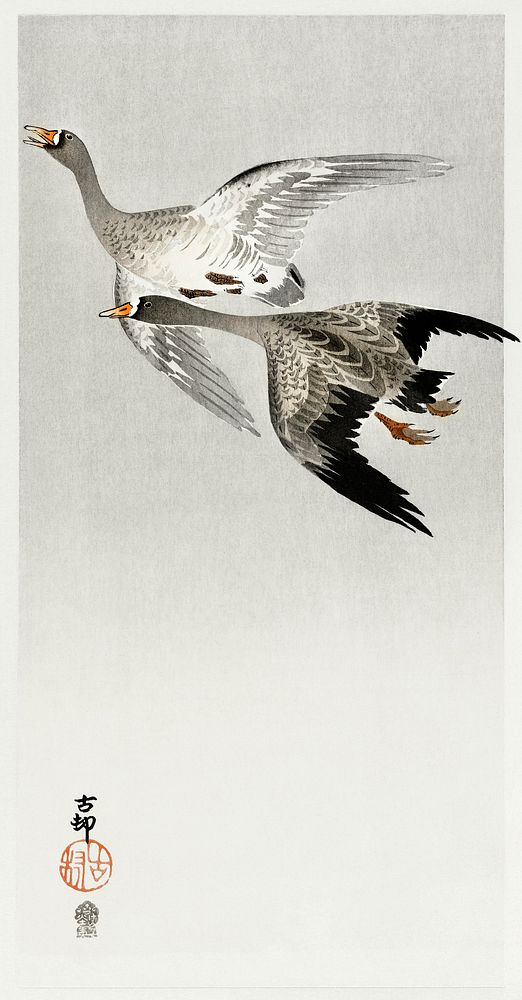 Great geese, flying in the snow (1900 - 1910) by Ohara Koson (1877-1945). Original from The Rijksmuseum. Digitally enhanced…