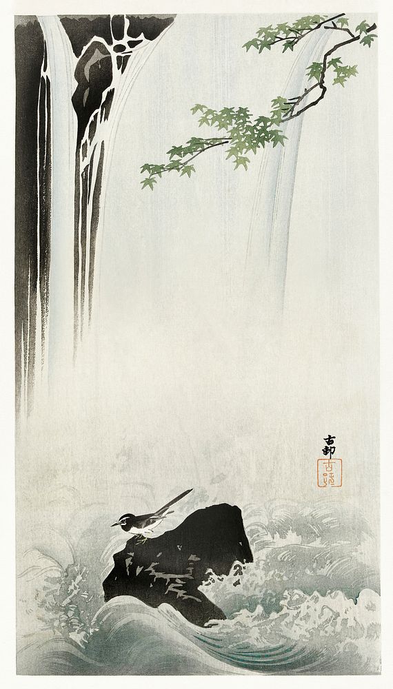 Japanese wagtail at waterfall (1900 - 1930) by Ohara Koson (1877-1945). Original from The Rijksmuseum. Digitally enhanced by…