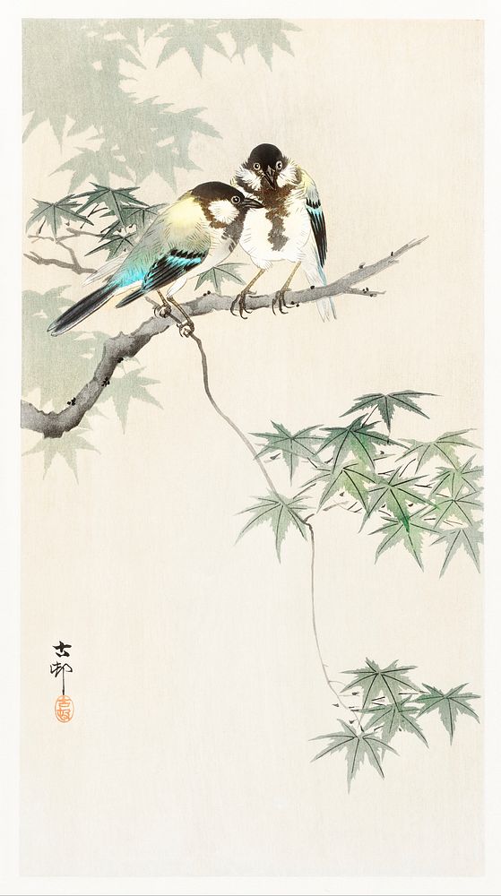 Great tits on maple branch (1900 - 1936) by Ohara Koson (1877-1945). Original from The Rijksmuseum. Digitally enhanced by…