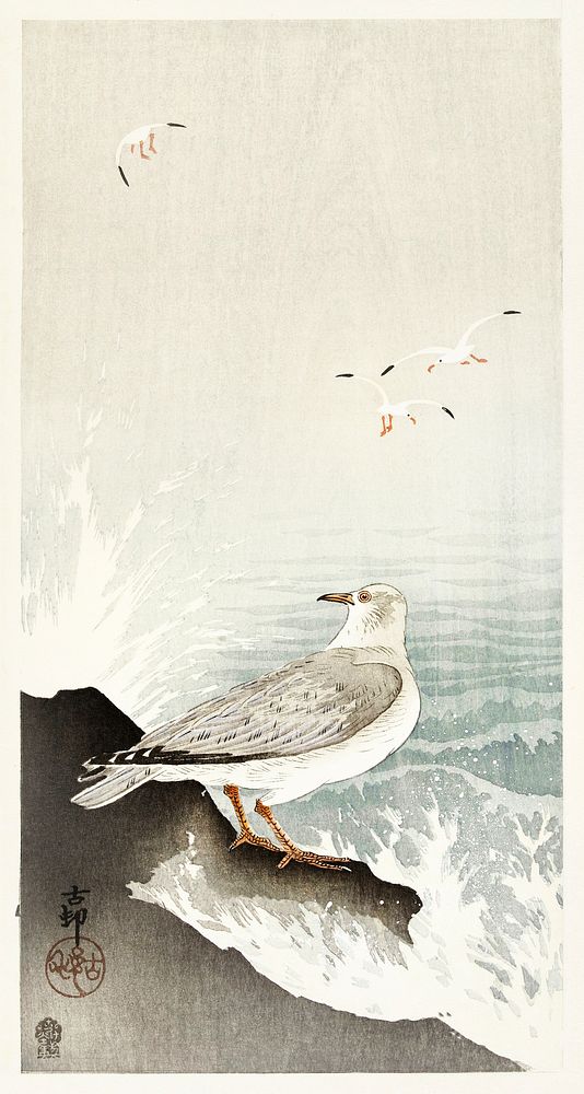 Gull on rock (1900 - 1910) by Ohara Koson (1877-1945). Original from The Rijksmuseum. Digitally enhanced by rawpixel.