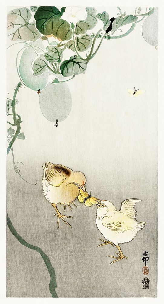 Two chicks fighting for a butterfly (1900 - 1910) by Ohara Koson (1877-1945). Original from The Rijksmuseum. Digitally…