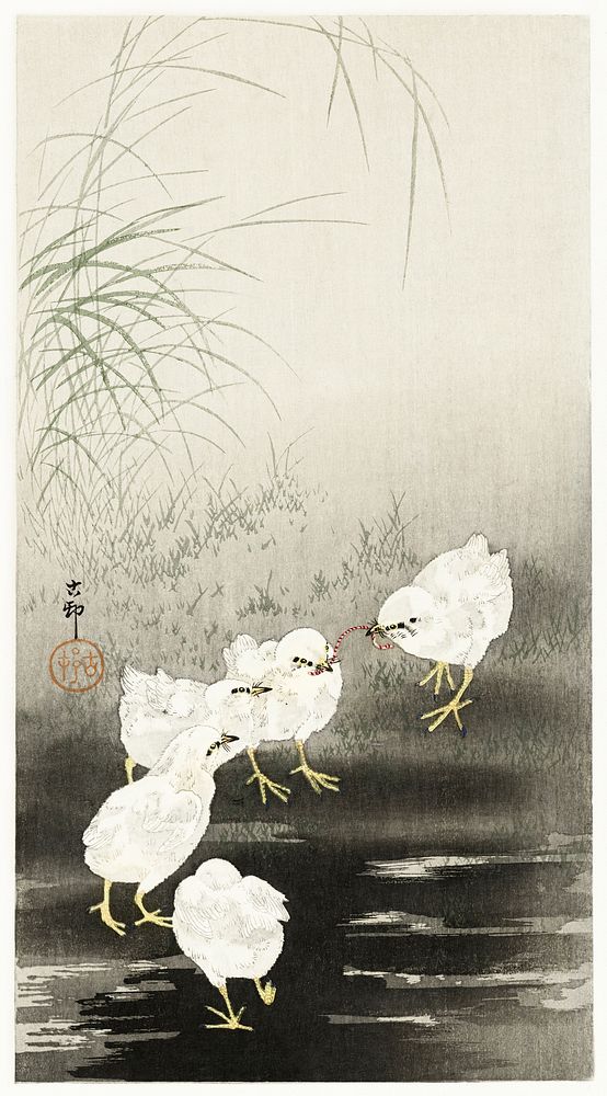 Chicks eating worms (1900 - 1930) by Ohara Koson (1877-1945). Original from The Rijksmuseum. Digitally enhanced by rawpixel.