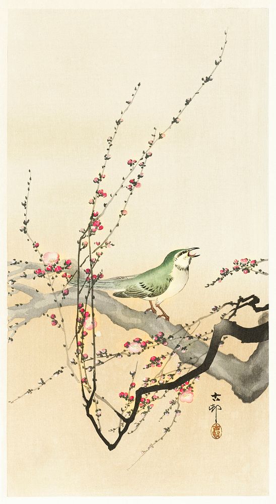 Songbird and plum blossom (1900 - 1936) by Ohara Koson (1877-1945). Original from The Rijksmuseum. Digitally enhanced by…