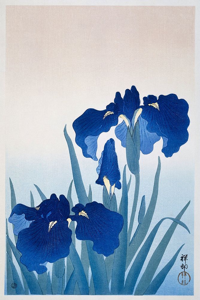 Iris flowers (1925 - 1936) by Ohara Koson (1877-1945). Original from The Rijksmuseum. Digitally enhanced by rawpixel.
