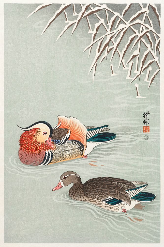 Mandarin ducks (1925 - 1936) by Ohara Koson (1877-1945). Original from The Rijksmuseum. Digitally enhanced by rawpixel.