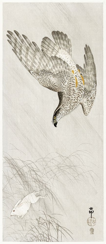 Hawk hunting a hare (1900 - 1910) by Ohara Koson (1877-1945). Original from The Rijksmuseum. Digitally enhanced by rawpixel.