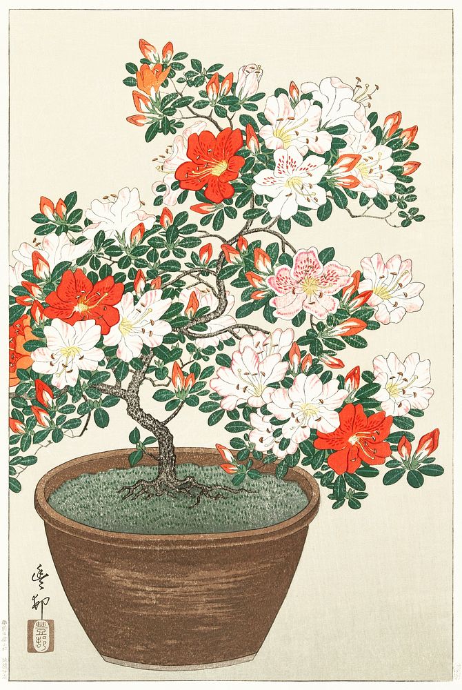 Blooming azalea in brown pot (1920 - 1930) by Ohara Koson (1877-1945). Original from The Rijksmuseum. Digitally enhanced by…