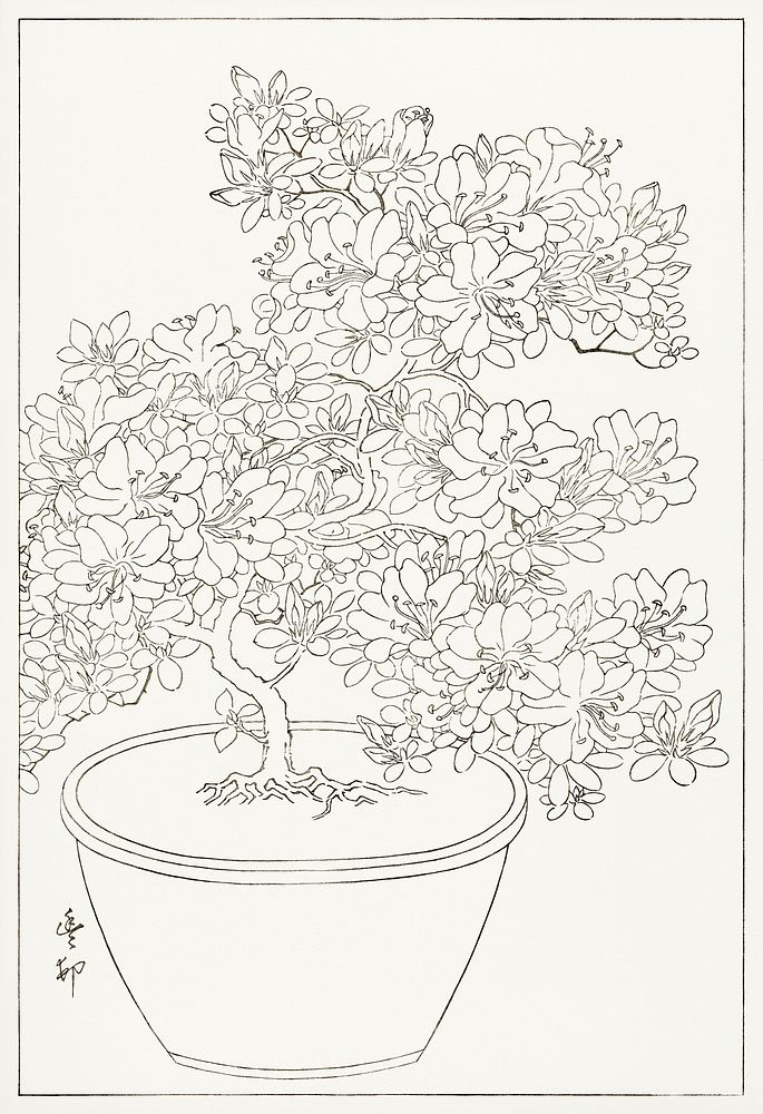 Blooming azalea in pot (1920 - 1930) by Ohara Koson (1877-1945). Original from The Rijksmuseu. Digitally enhanced by…