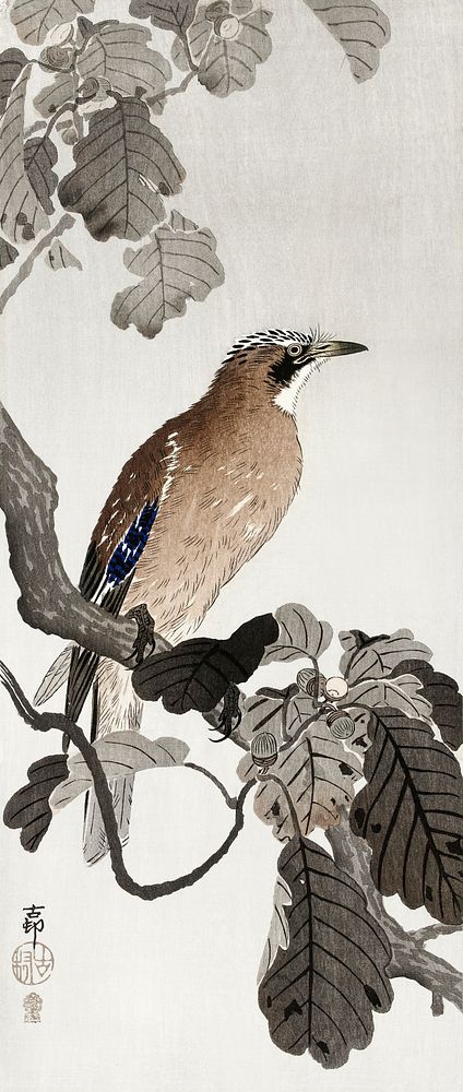 Jay on tree branch (1900 - 1910) by Ohara Koson (1877-1945). Original from The Rijksmuseum. Digitally enhanced by rawpixel.