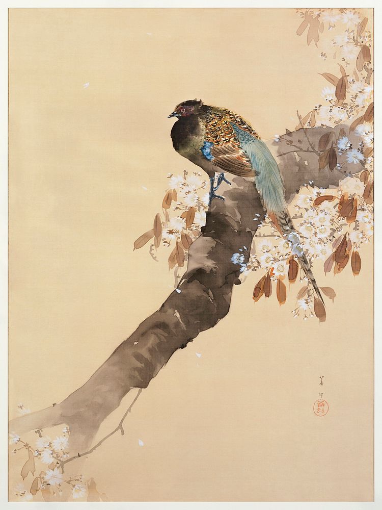 Pheasant on cherry blossom branch (1887-1945) by Ohara Koson (1877-1945). Original from The Rijksmuseum. Digitally enhanced…