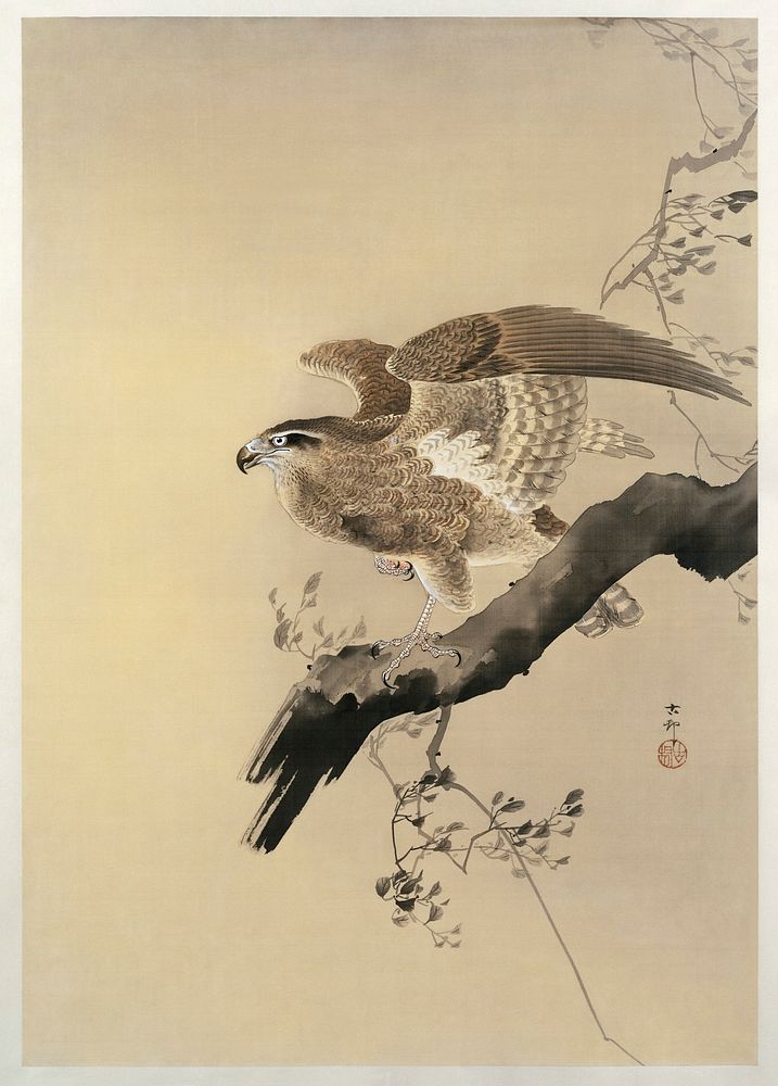 Hawk (1887-1945) by Ohara Koson (1877-1945). Original from The Rijksmuseum. Digitally enhanced by rawpixel.