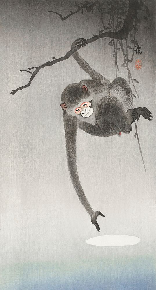 Monkey and reflection of the moon (1900 - 1936) by Ohara Koson (1877-1945). Original from The Rijksmuseum. Digitally…