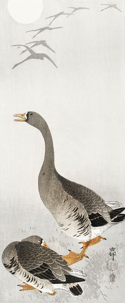Two geese (1900 - 1910) by Ohara Koson (1877-1945). Original from The Rijksmuseum. Digitally enhanced by rawpixel.