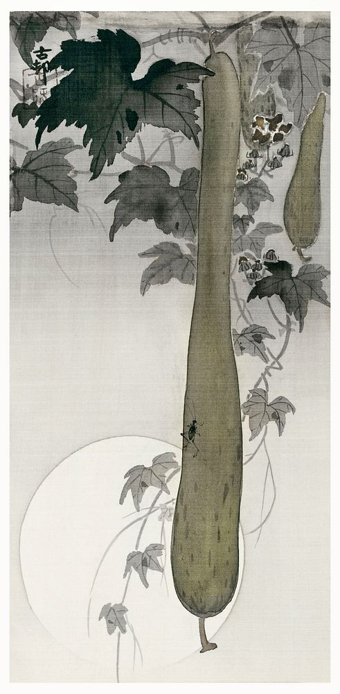 Wild cucumber and a full moon (1877-1945) by Ohara Koson (1877-1945). Original from The Rijksmuseum. Digitally enhanced by…