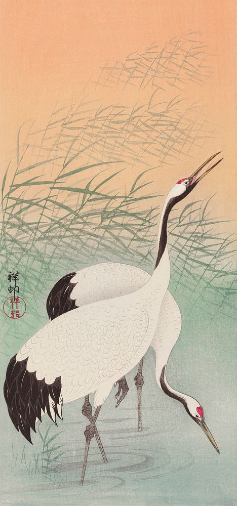 Two cranes (1925 - 1936) by Ohara Koson (1877-1945). Original from The Rijksmuseum. Digitally enhanced by rawpixel.