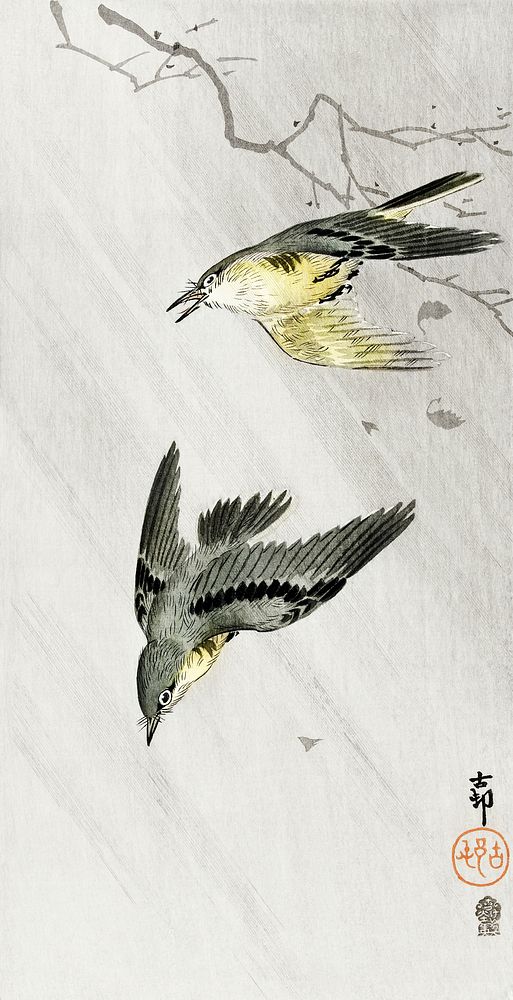 Songbirds in rain (1900 - 1910) by Ohara Koson (1877-1945). Original from The Rijksmuseum. Digitally enhanced by rawpixel.