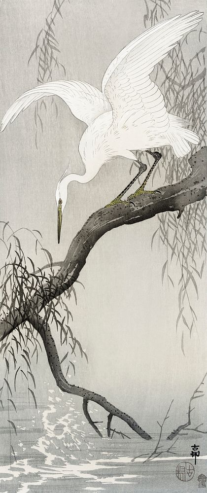 White heron on tree branch (1900 - 1910) by Ohara Koson (1877-1945). Original from The Rijksmuseum. Digitally enhanced by…